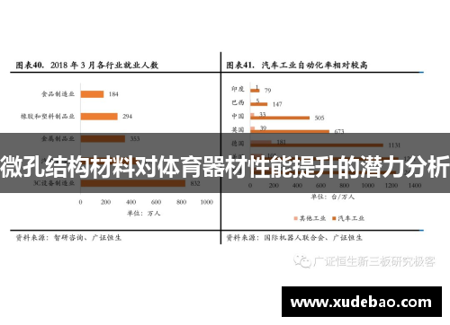 微孔结构材料对体育器材性能提升的潜力分析